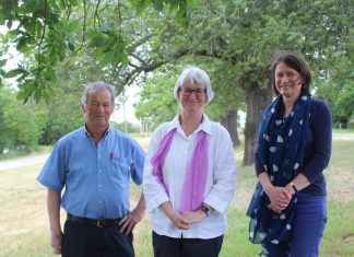 Bid to protect Gisborne avenues of honour