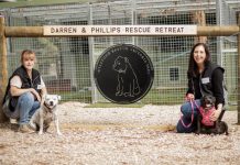 Shelter for staffies: Community foster care facility opens in Carlsruhe