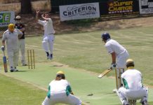 Bumper weekend for Castlemaine District Cricket Association