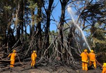 Children seen fleeing scene of suspicious fires