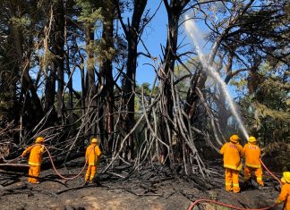 Children seen fleeing scene of suspicious fires
