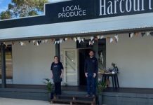 Solidarity in times of crisis