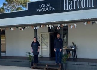 Solidarity in times of crisis