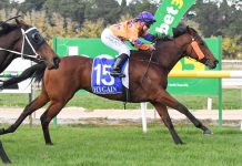 Winners for Kyneton trainers