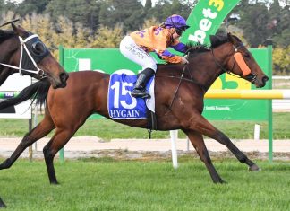 Winners for Kyneton trainers