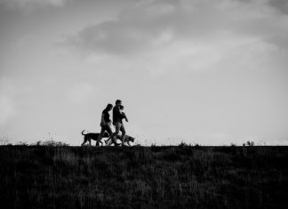 Malmsbury in isolation