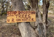 Trees desecrated at Ravenswood