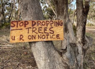 Trees desecrated at Ravenswood