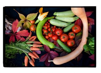 Gain solace from gardening