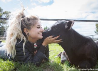 Lancefield farm sanctuary volunteers to share personal stories for National Volunteer Week