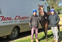 Instant dividend from Perth buy