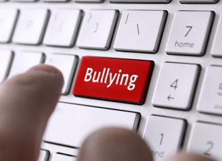 Cyberbullying of council needs to stop