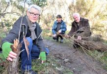 Fed up: Diggings park vandalised