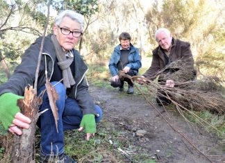 Fed up: Diggings park vandalised