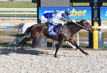 Overdue win for Chase Award