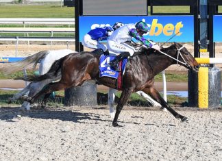 Overdue win for Chase Award