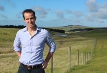 Alternative development?