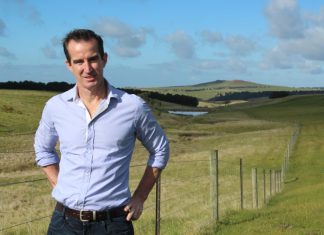 Alternative development?