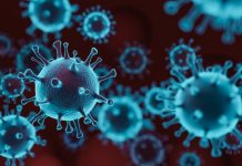 Coronavirus update for Victoria