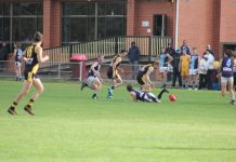 BFNL senior footy and netball off