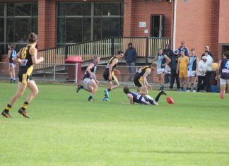 BFNL senior footy and netball off