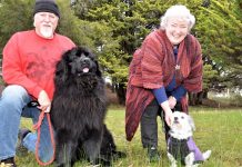 Tail-wagging wonderful!