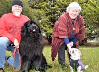 Tail-wagging wonderful!