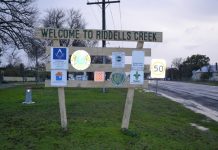 ‘Fix traffic’ cry for Riddell