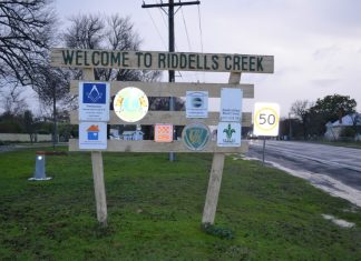 ‘Fix traffic’ cry for Riddell