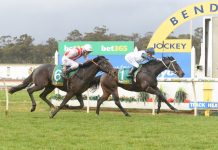 Tayla steals the show