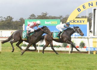 Tayla steals the show