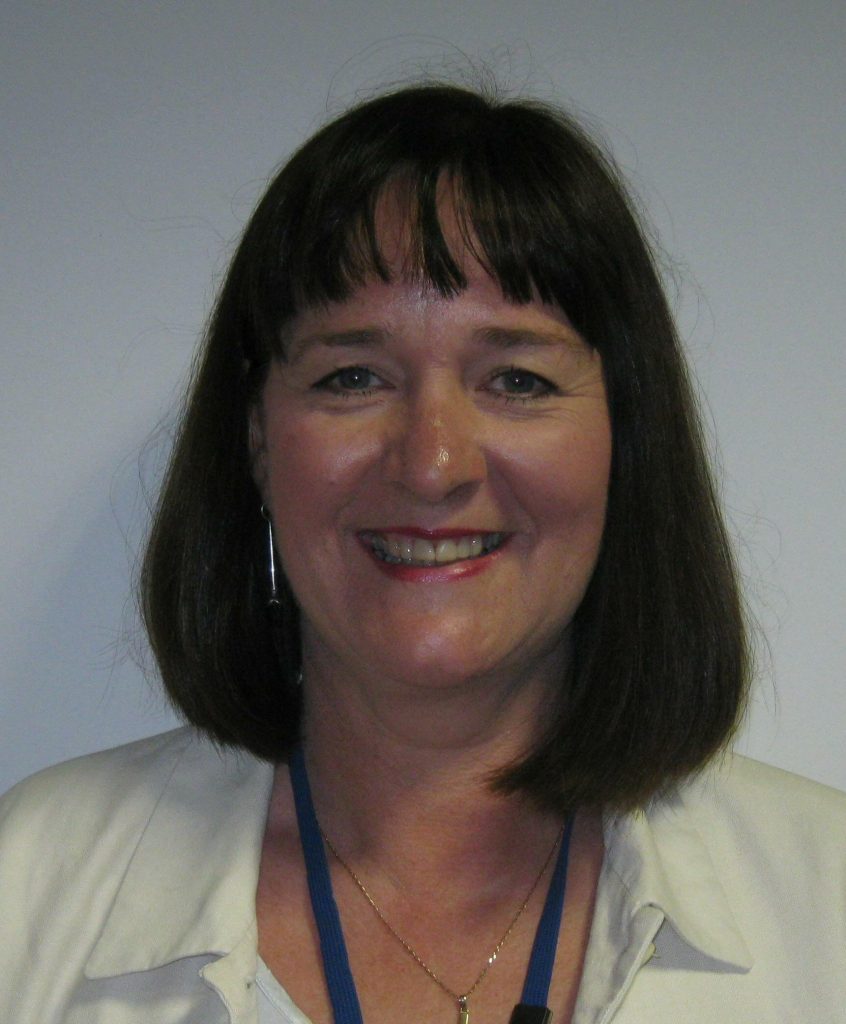 Council CEO resigns