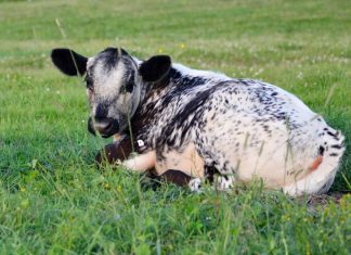 FARM DECISION OVERTHROWN