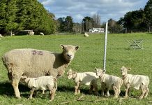 A welcome sign of spring