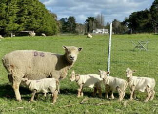 A welcome sign of spring