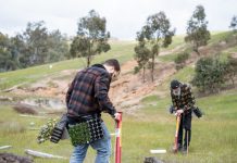 Conservation partnership blooms