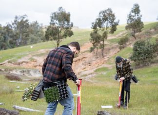 Conservation partnership blooms