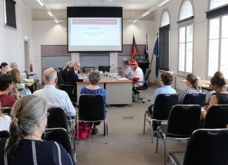 Carbon neutral plan for council