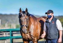 A story worth (over)sharing