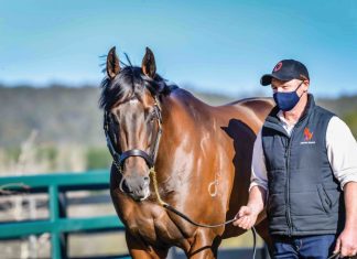 A story worth (over)sharing