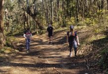 Firies in training for virtual climb