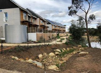 The Paddock to feature