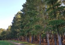 ‘Keep open space’ call