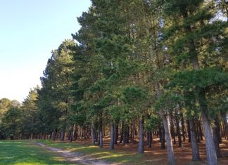 ‘Keep open space’ call