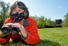 Big backyard bird count