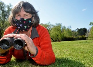 Big backyard bird count