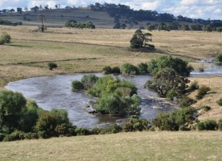 ‘A LICENCE TO POLLUTE’