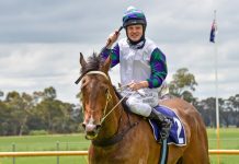 Good strike rate for jockey Jason Maskiell