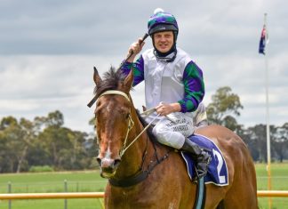 Good strike rate for jockey Jason Maskiell