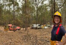 Local heroes honoured